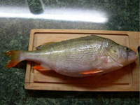 Блюда из рыбы и морепродуктов