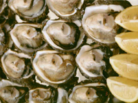 Закуска из рыбы и морепродуктов
